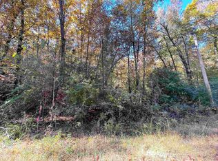 5 Wilderness Rd, Greenbrier, AR 72058