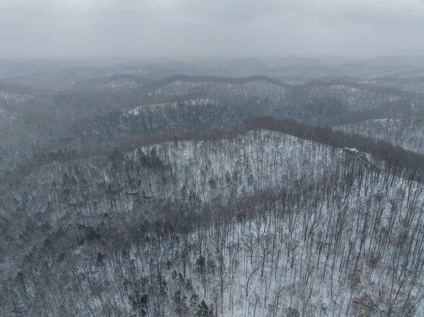 3592 Perry Ridge Rd, Dunlow, WV 25511