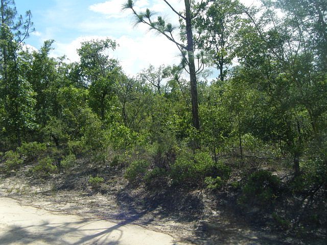 2nd image of 3184 Palm Blvd