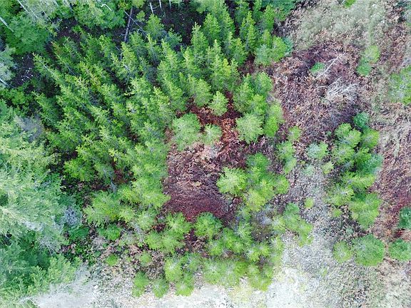 3rd image of 604 Scout Lake Rd