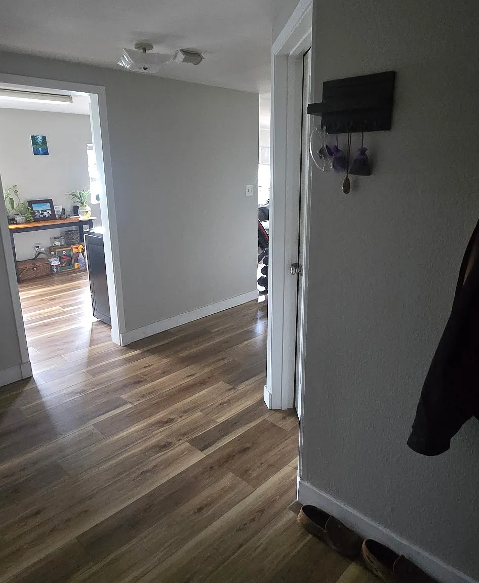 1 bed, 750 sqft, $1,050 — Photo 3
