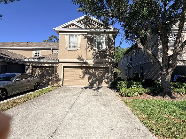4212 Bismarck Palm Dr — Photo 7