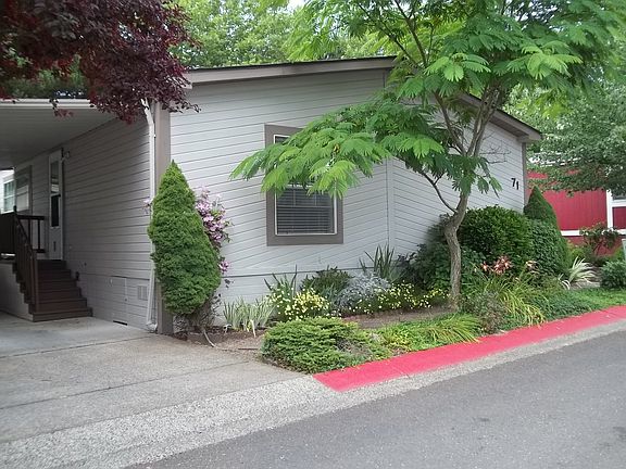 Carport and Mimosa tree