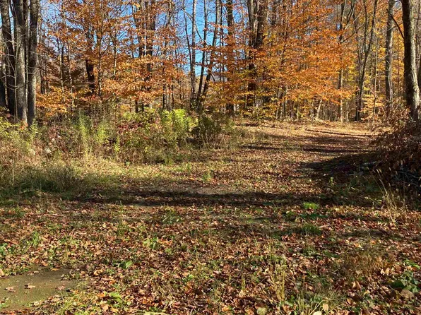 00 Pasquale Street #9, Chittenden, VT 07563