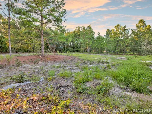 234 Brower Rd, Cameron, NC 28326