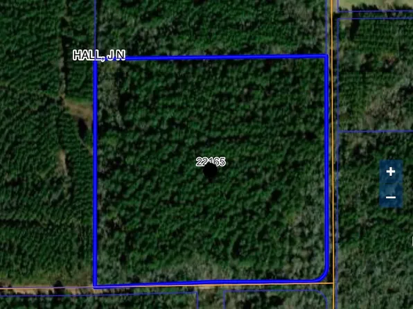4208 Cr, Simms, TX 75574