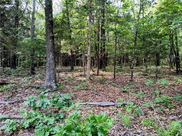 Taylor Barnett Rd #3, Garfield, AR 72732