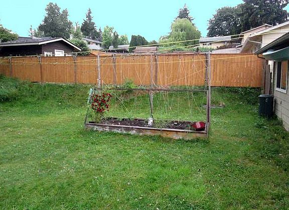 raised garden bed in the back yard