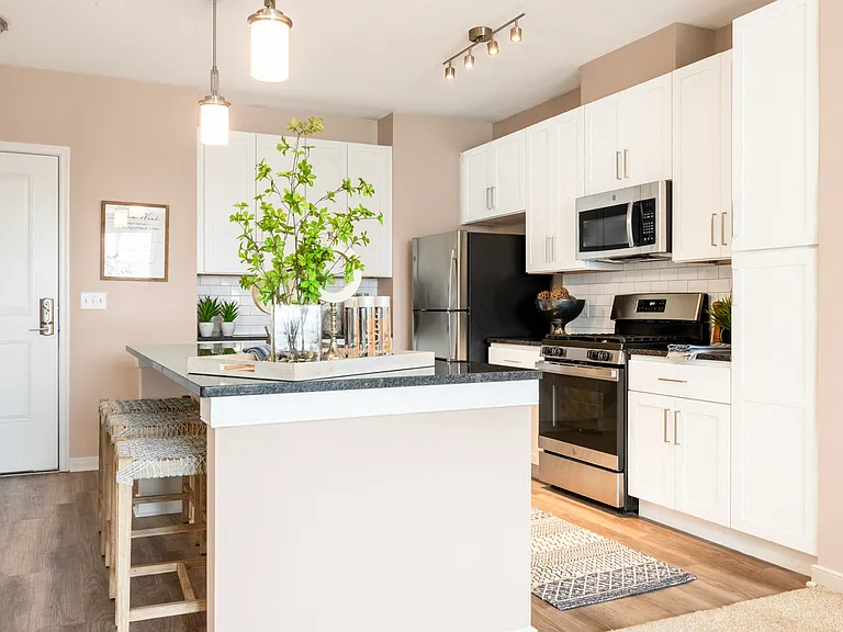 Designer Collection Kitchen