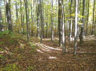 Rush Hill Rd, Atlanta, MI 49709