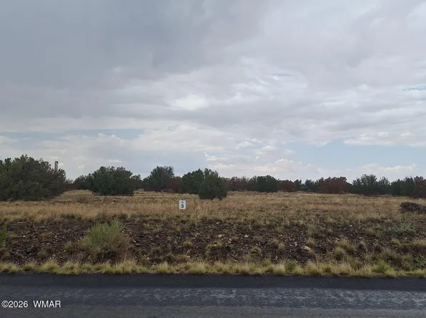 7814 Cedar Trl, Show Low, AZ 85901
