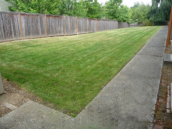 Shared Fenced Backyard