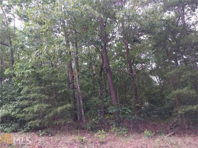 0 Pirkle Leake Rd, Dawsonville, GA, 30534