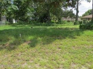 Little St, Spring hill, FL 34608