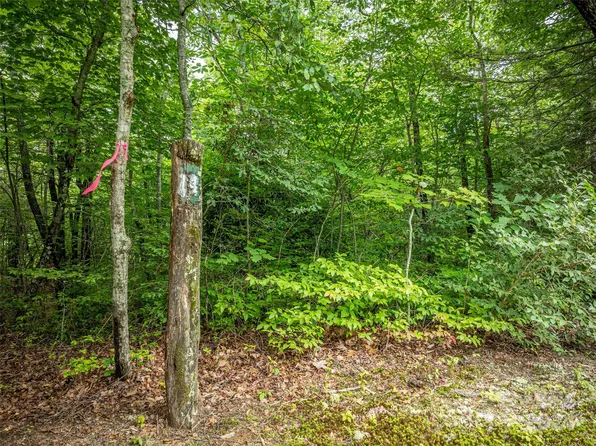 0 Meadow Ridge Dr Lot 14, Lake Toxaway, NC 28747