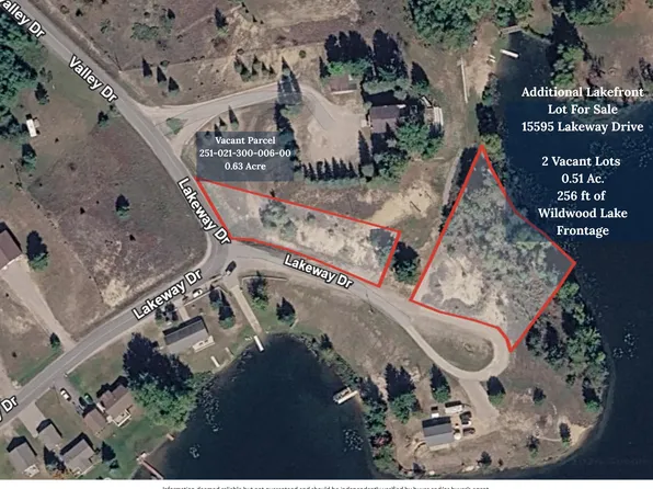 Lakeway Dr, Wolverine, MI 49799