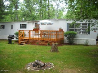 19290 Hoxeyville Rd, Wellston, MI 49689