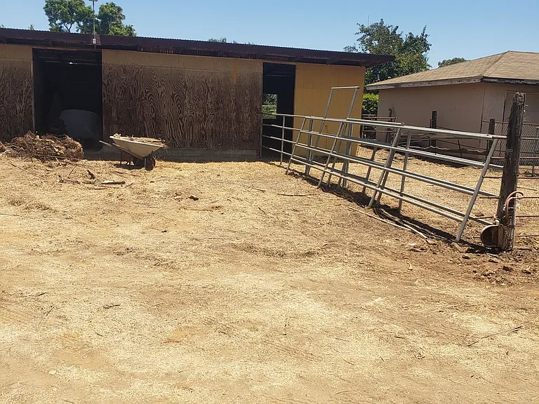 3847 Vine Ave — Photo 30