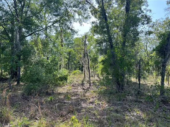NE 152nd Ct Lot 2, Williston, FL 32696