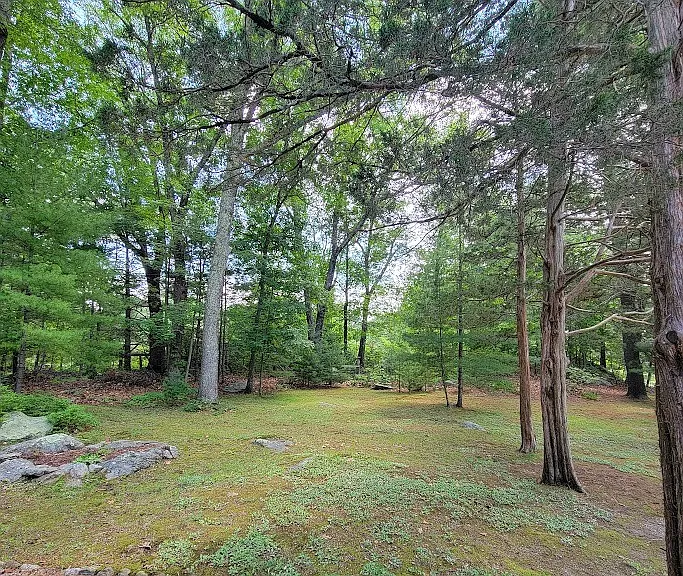 475 Hill Rd — Photo 7