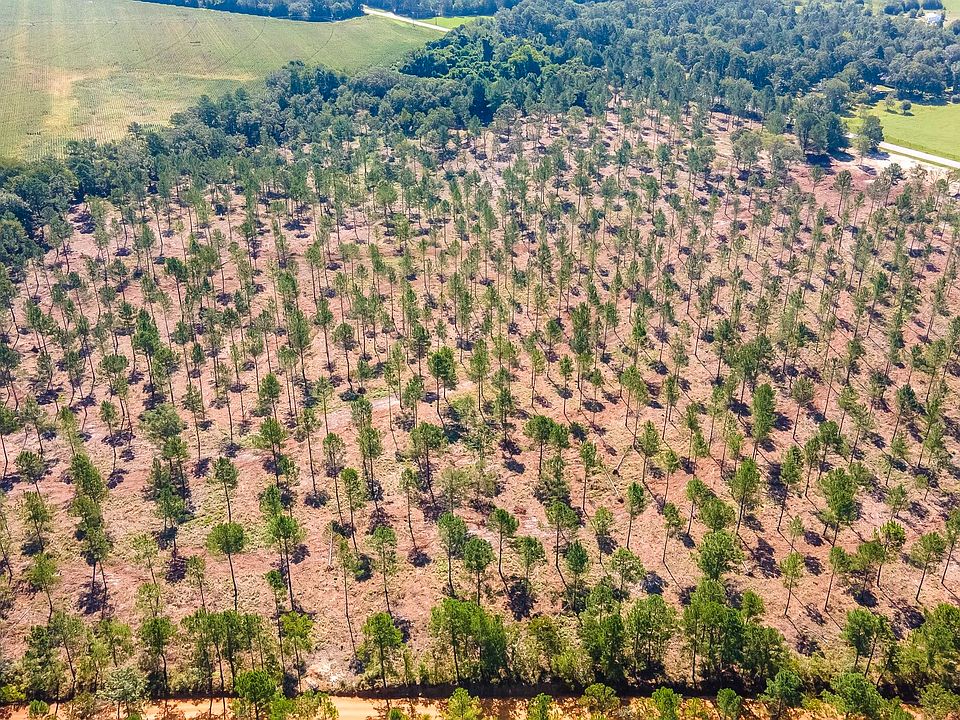2nd image of LOT 12 Camp Rawls Rd