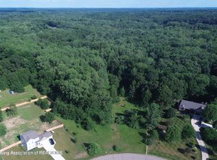 43 Bryde Dr, Rives Junction, MI 49277