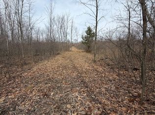 15193 Jeddo Rd, Brown City, MI 48416