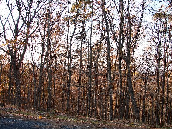4th image of Mount Vista Dr