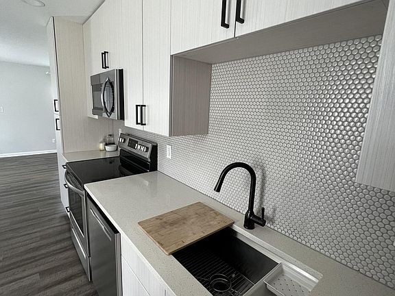 Large Stainless Steel sink and backsplash