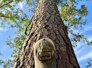 0 Pearce Dr LOT 4, Richton, MS 39476