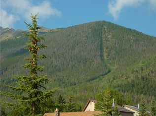 406 S 8th Ave, Frisco, CO 80443