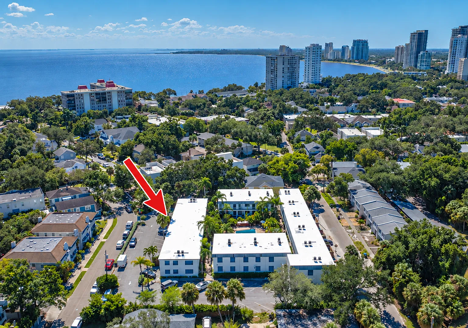 Bayshore Palms at SoHO — Photo 3