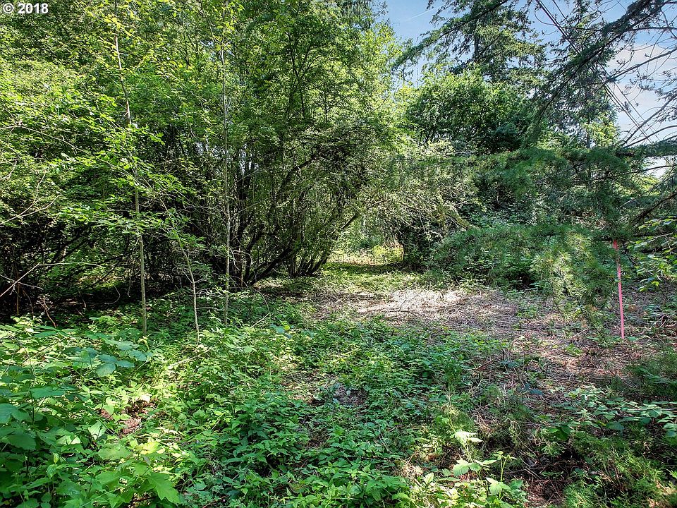 2nd image of 0 102nd Ave