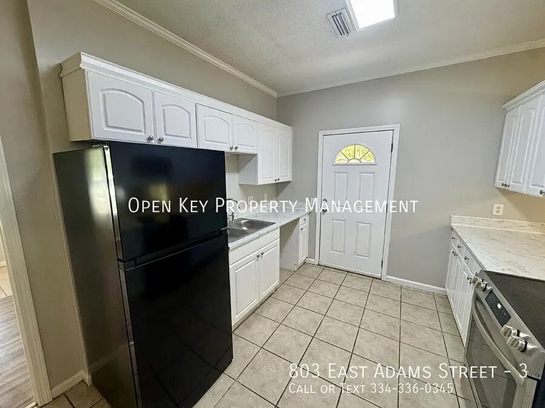 803 E Adams St #3 — Photo 5