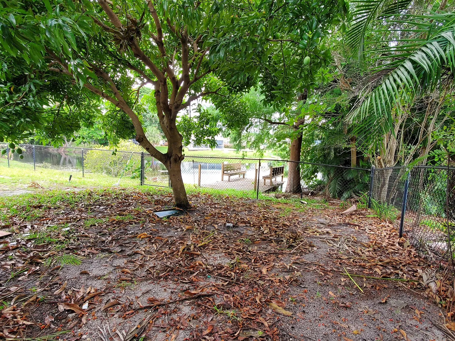 3 bed, 2.0 bath, 1564 sqft, $3,150 — Photo 3