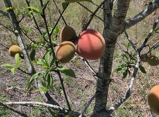 8981 W Sasso Ln, Crystal River, FL 34428