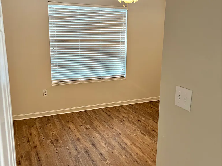 223 Woodruff Park Ln — Photo 10