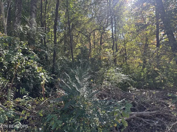 2601 Rifle Range Dr, Knoxville, TN 37918