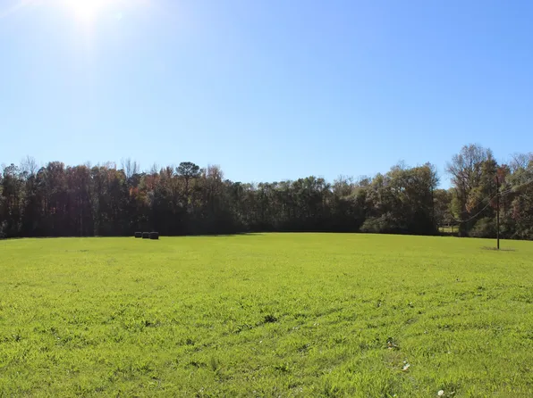 0 County Road 310, Crane Hill, AL 35053