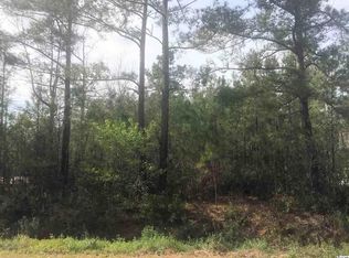 LOT 5 Allen St #FOX, Loris, SC 29569