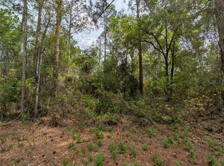 NE 66th Ct Lot 5, Citra, FL 32113