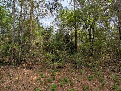 NE 66th Ct Lot 5, Citra, FL, 32113