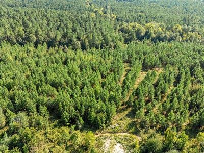 51 S Holland Trl Lot 264, Broken Bow, OK, 74728