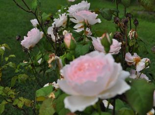 5102 Fielding Lewis Ct, Fredericksburg, VA 22408