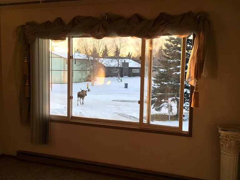 Fawn Ct — Photo 26