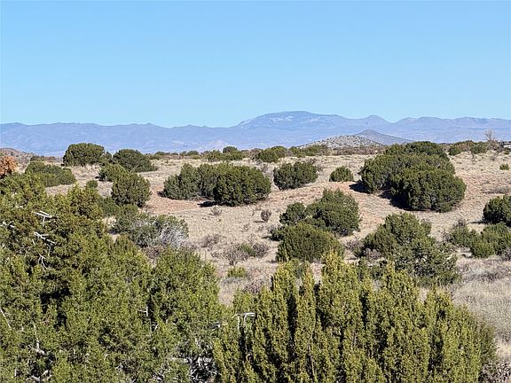 3rd image of 63 Crazy Rabbit Dr