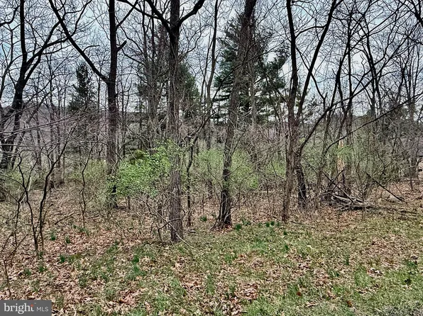 Timberlake Dr Lot 48, New Creek, WV 26743