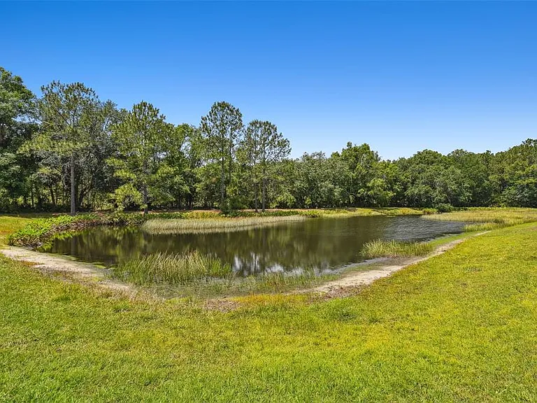 8208 Pinewood Run Ct — Photo 55