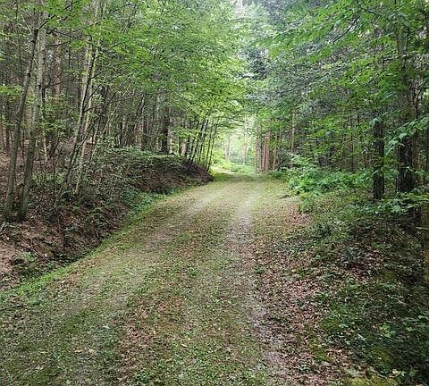 2nd image of 0 Lambert Hill Rd