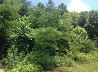 962 Blue Mill Rd, Del rio, TN 37727